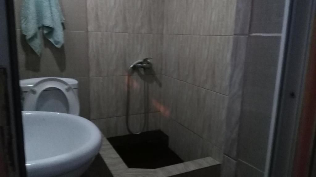 Гостевой дом Guest House Gelit Мцхета