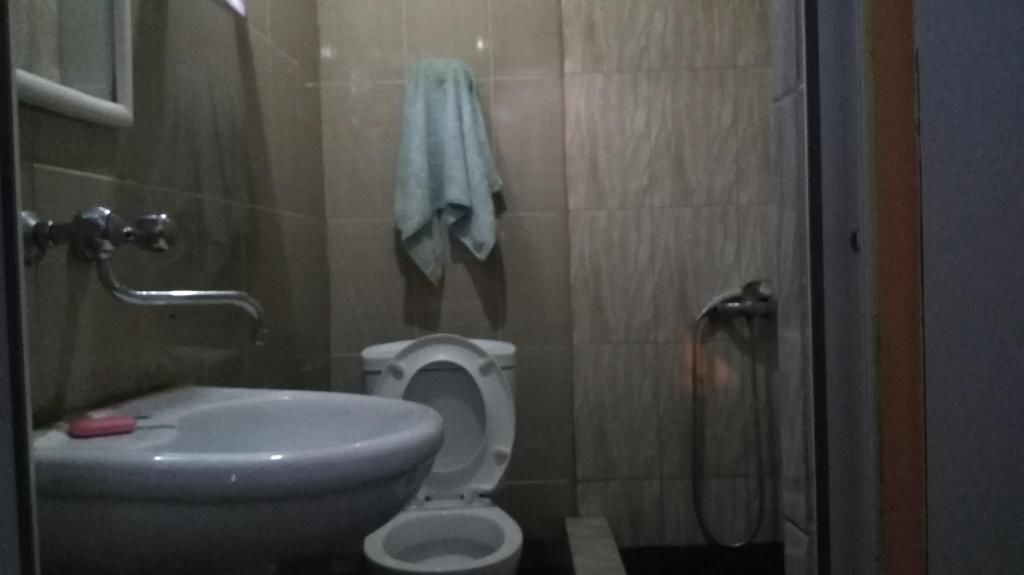 Гостевой дом Guest House Gelit Мцхета